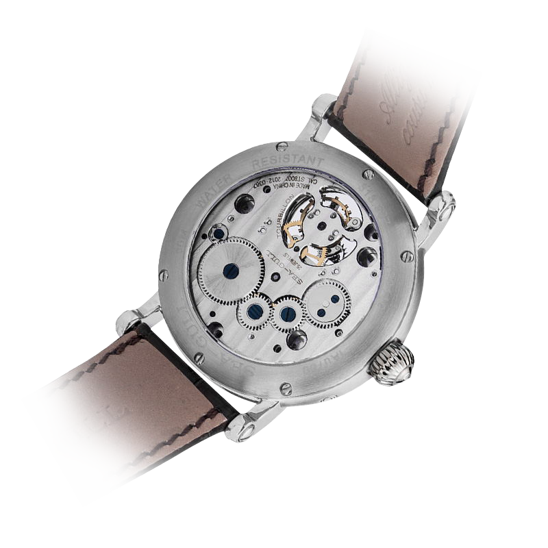 Eccentric Tourbillon | Heritage Series  | Moon Phase | Calendar | Energy Indicator | 39mm  | LEVEL 05